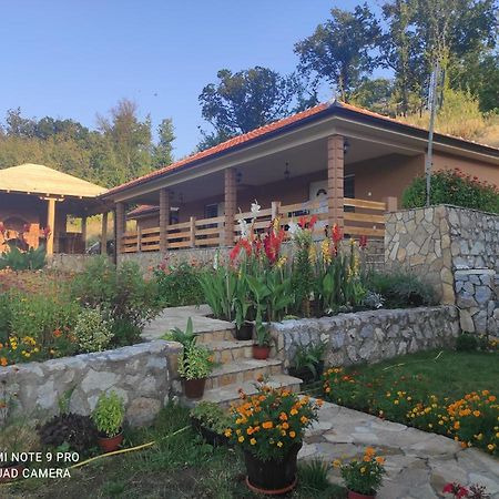 Vila Vera Borsko Jezero Экстерьер фото