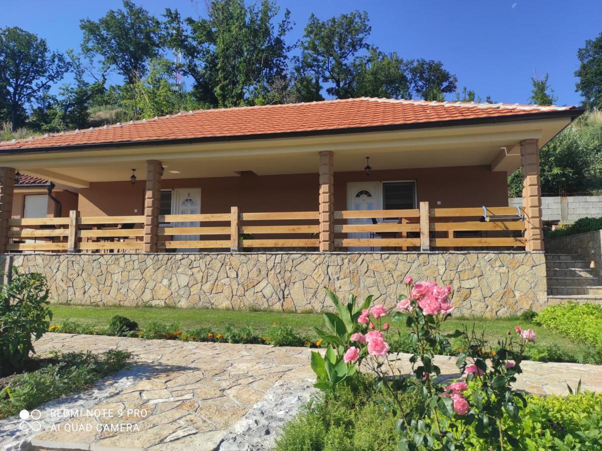 Vila Vera Borsko Jezero Экстерьер фото