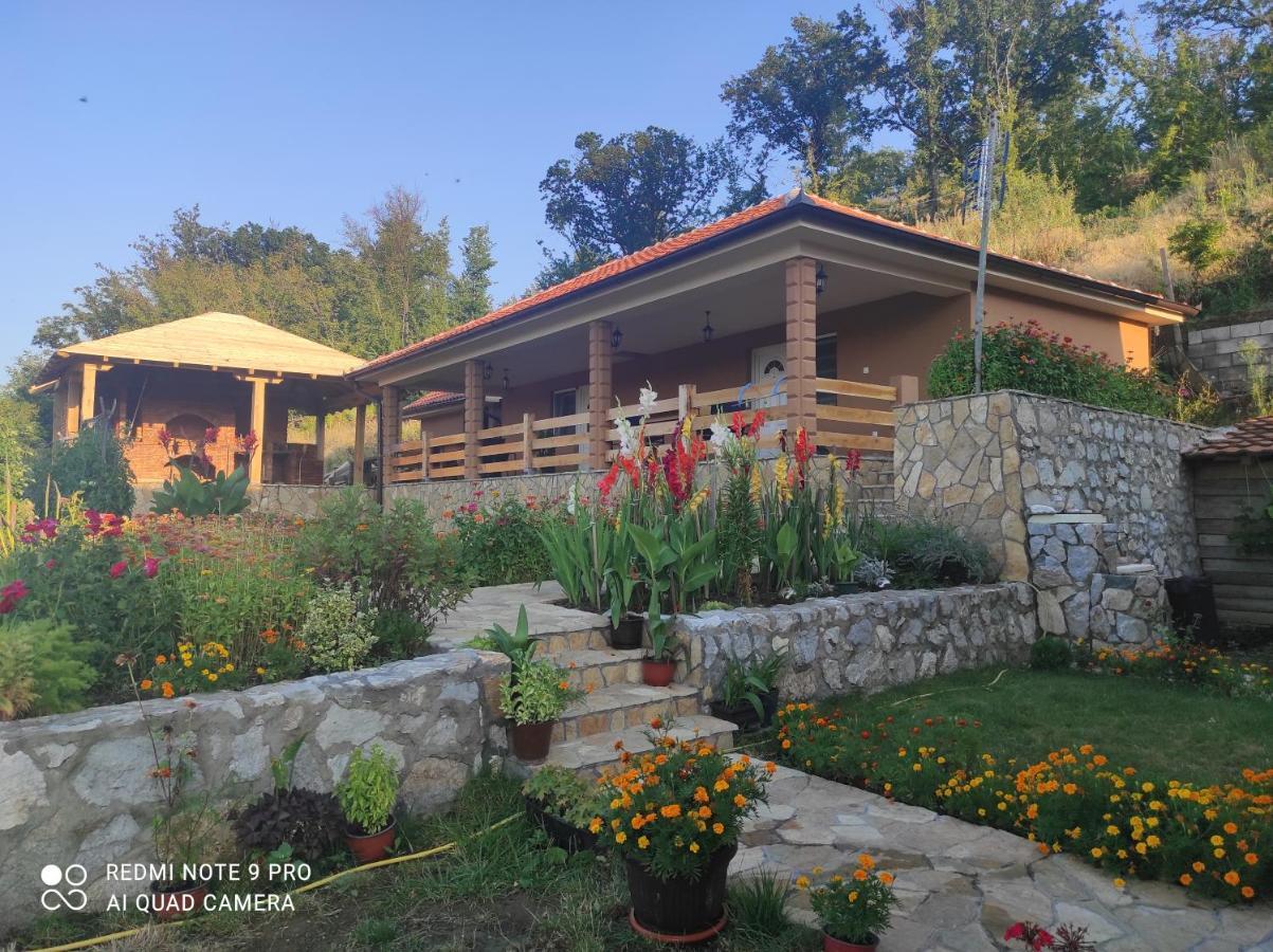 Vila Vera Borsko Jezero Экстерьер фото